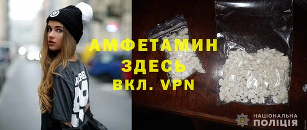 мет Алексин