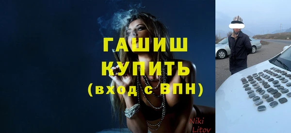 мет Алексин