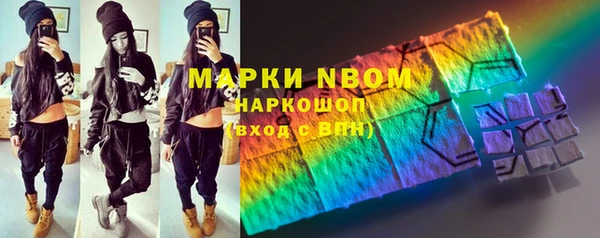 мет Алексин
