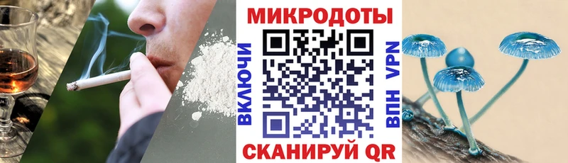 Галлюциногенные грибы Psilocybe  купить   Яровое 